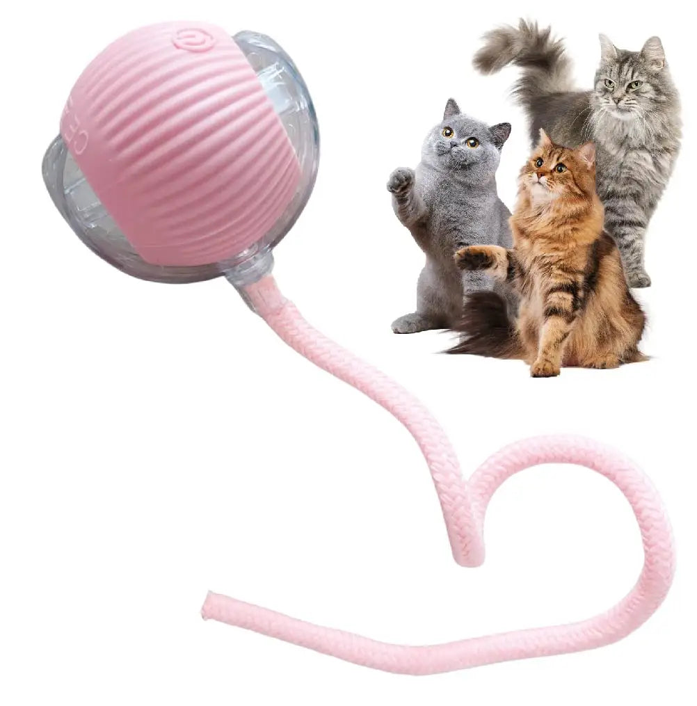 new trending Automatic Rolling Ball Cat Toy
