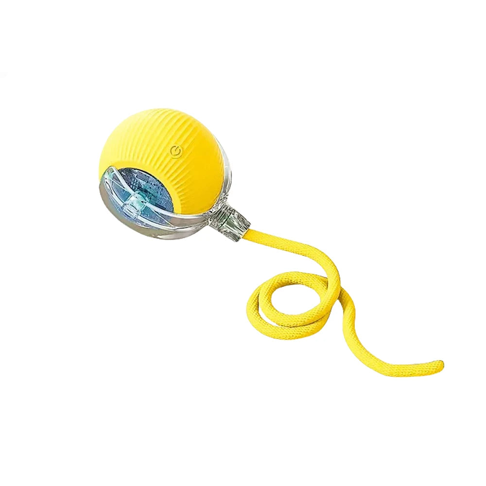 new trending Automatic Rolling Ball Cat Toy