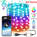 Bluetooth Christmas String Light 2 to 20 meters