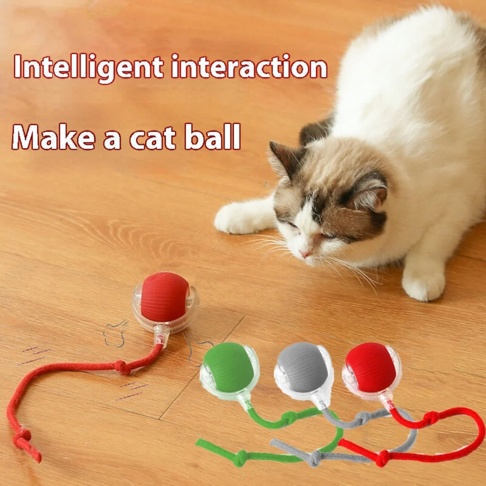 new trending Automatic Rolling Ball Cat Toy