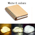 Decorative Wooden Book Light