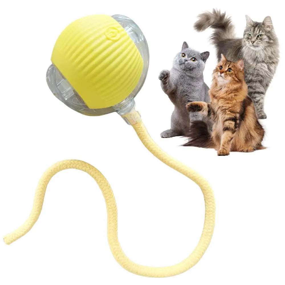 new trending Automatic Rolling Ball Cat Toy