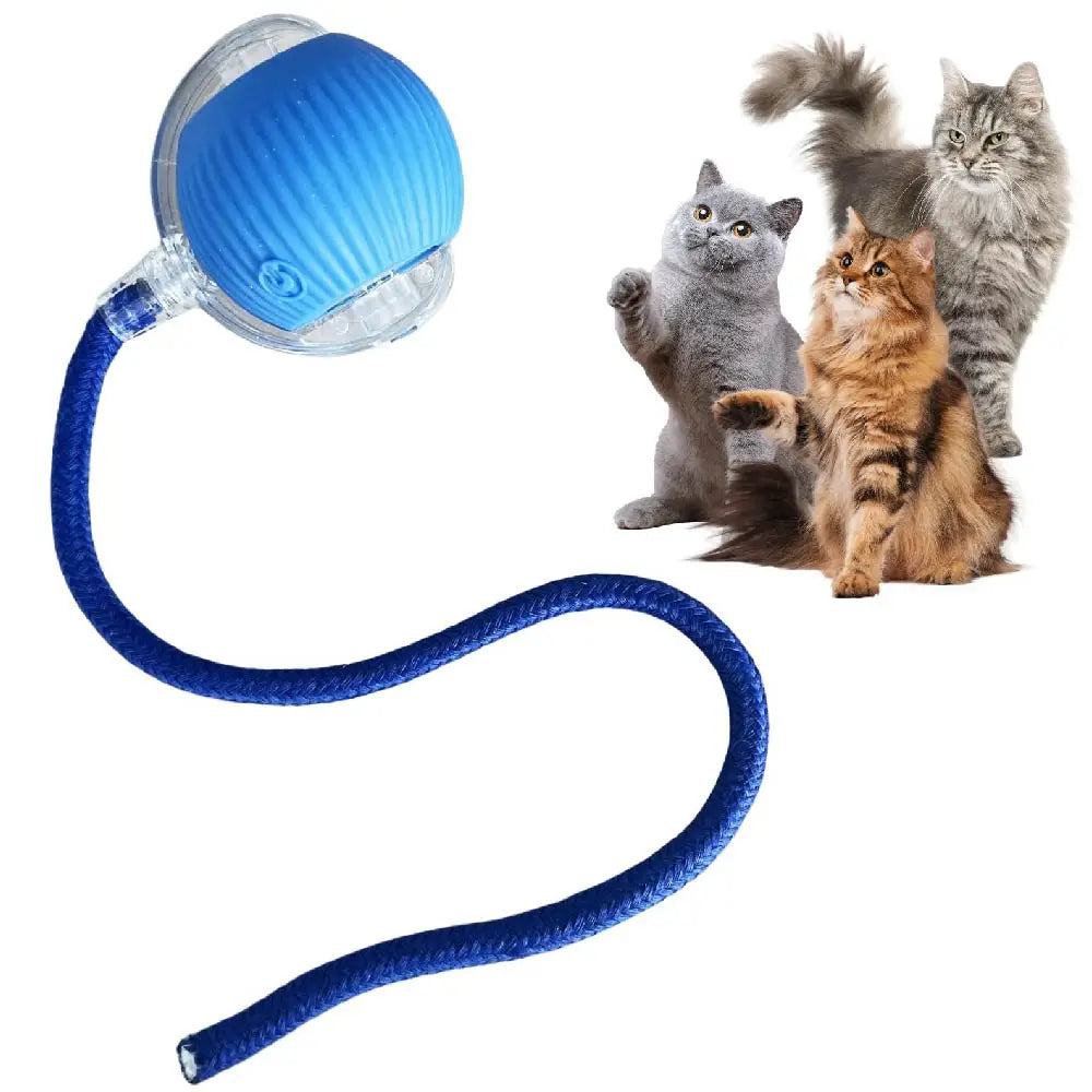 new trending Automatic Rolling Ball Cat Toy